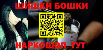 СК Кингисепп
