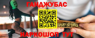 СК Кингисепп