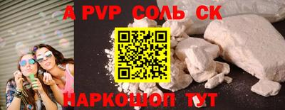 СК Кингисепп
