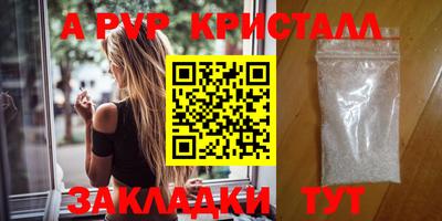 СК Кингисепп