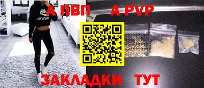 СК Кингисепп