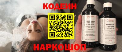 СК Кингисепп