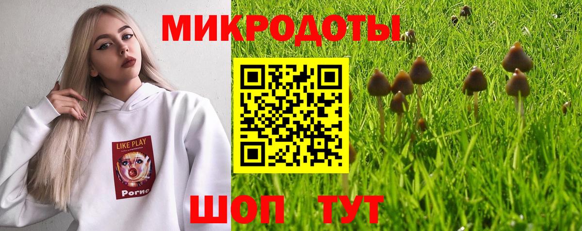 Псилоцибиновые грибы Psilocybe  Вход с VPN  наркота  Волгоград  Псилоцибиновые грибы Psilocybine cubensis 