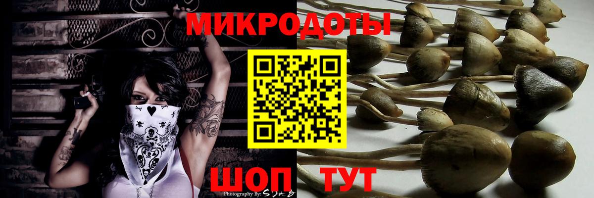 Галлюциногенные грибы мицелий Волгоград